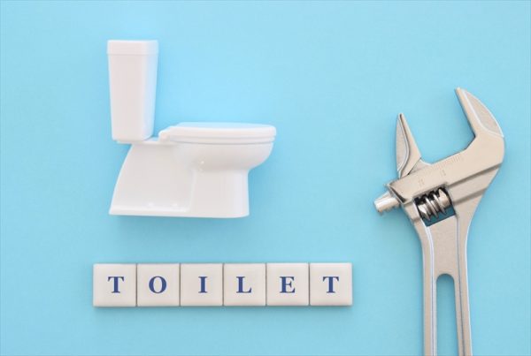 toilet