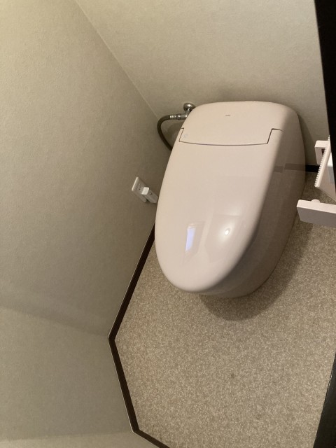 超節水型トイレに変身サムネイル